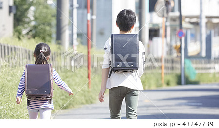 通学路の子供たち 43247739