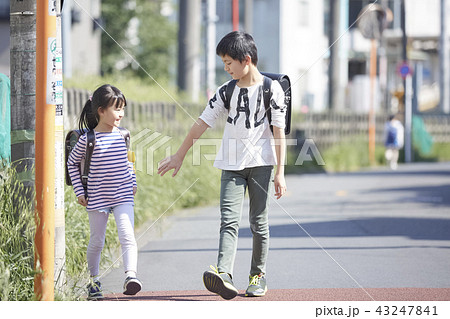 通学する子供たち 通学する子供たち 43247841