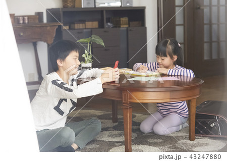 勉強をする女の子と男の子 43247880