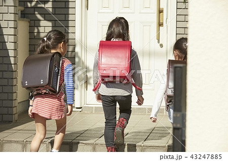 通学する子供たち 43247885