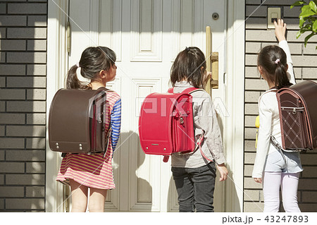 通学する子供たち 43247893