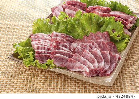 牛肉の皿盛り 43248847