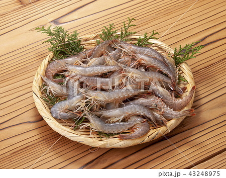 あかしゃえび 43248975