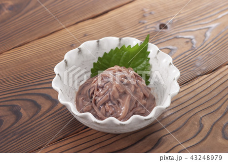 イカの塩辛 43248979