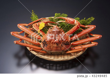 越前がに タグ付き 越前がに タグ付き 43249485