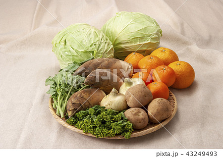 春野菜の集合 43249493