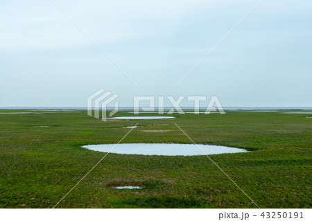 Drought of Lake Wetlands Drought of Lake Wetlands 43250191