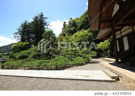 別所温泉 常楽寺 別所温泉 常楽寺 43250855