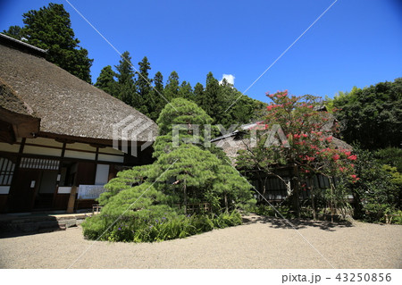 別所温泉 常楽寺 別所温泉 常楽寺 43250856