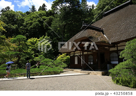 別所温泉 常楽寺 別所温泉 常楽寺 43250858