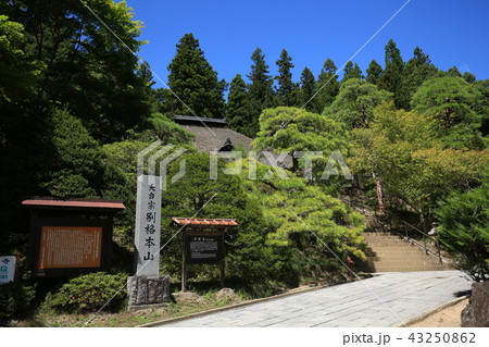 別所温泉　 常楽寺 43250862