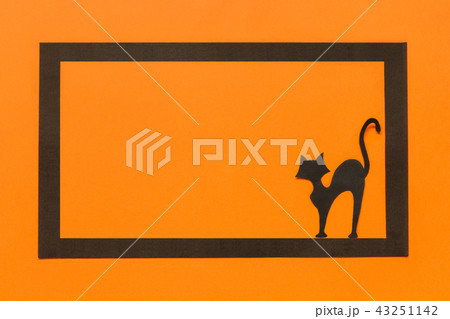 Halloween background. Black paper cat in black frame on orange background 43251142