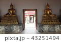 タイの黄金の仏像 43251494
