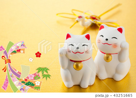 年賀状2020 43251665