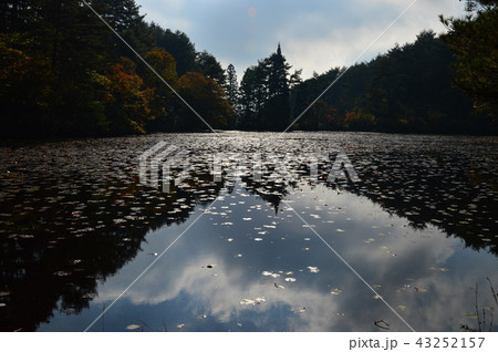 紅葉と、秋の湖畔 紅葉と、秋の湖畔 43252157