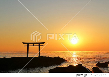 茨城県 大洗磯前神社 茨城県 大洗磯前神社 43252567