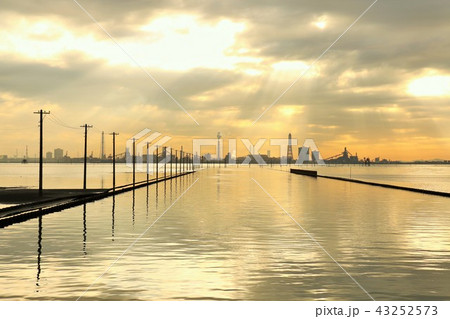 千葉県 夕暮れの江川海岸 千葉県 夕暮れの江川海岸 43252573