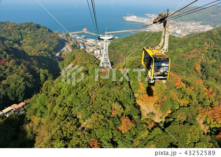 千葉県　秋の鋸山 43252589