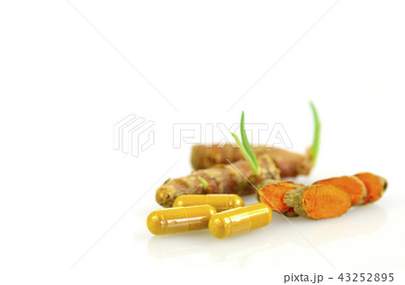 Turmeric root and turmeric powder. Turmeric root and turmeric powder. 43252895