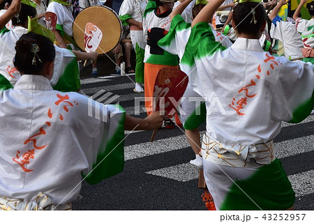 南越谷阿波踊り 南越谷阿波踊り 43252957