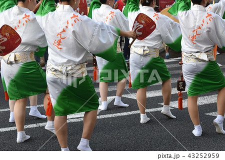 南越谷阿波踊り 南越谷阿波踊り 43252959