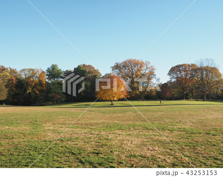 Prospect Park Prospect Park 43253153