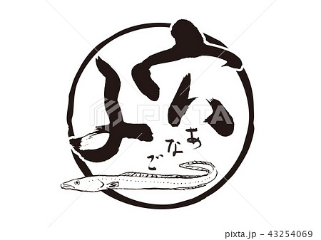 穴子　あなご　筆文字 43254069