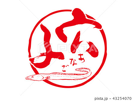 穴子　あなご　筆文字 43254070