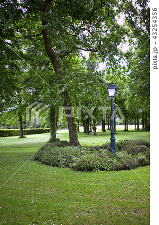 Park 43254356