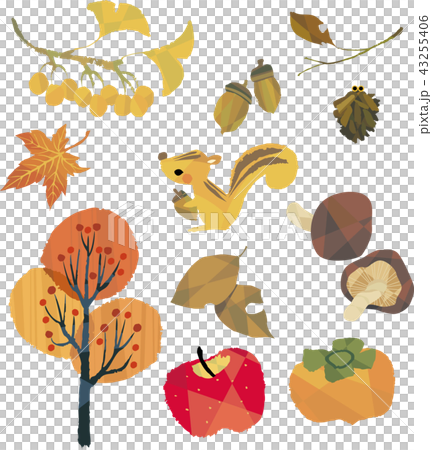 秋の風物詩いろいろ 43255406