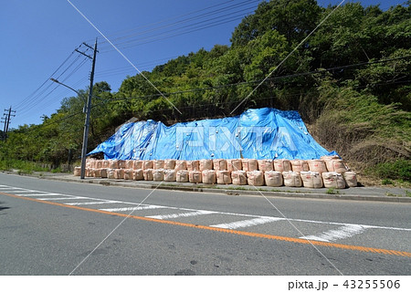 崖崩れを大型土嚢で応急復旧 43255506