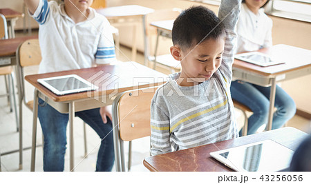 小学校のIT教育　授業風景 43256056
