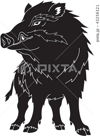 猪 正面 黒のイラスト素材