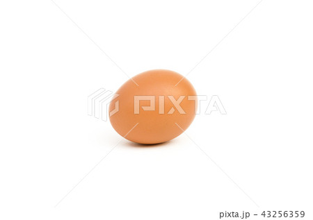 eggs of chicken on white background eggs of chicken on white background 43256359