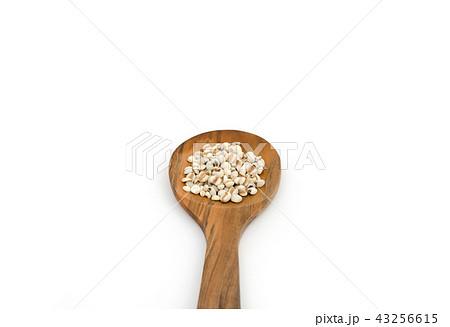 Job's Tears on wooden spoon isolated white 43256615