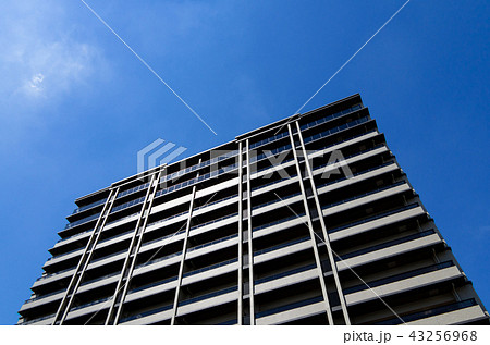 青空と日の当たるマンション 43256968