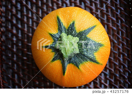 丸いズッキーニ 丸いズッキーニ 43257176