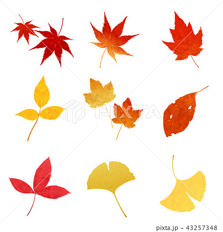 紅葉１のイラスト素材
