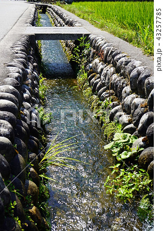 田舎の用水路、水路 43257785