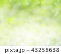 Green bokeh abstract background 43258638