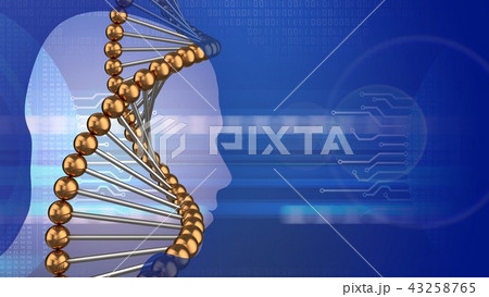 3d abstractwith dna structure head silhouette  43258765