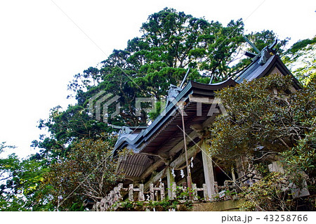 熊野三山・奥の宮　玉置神社　御本殿 （奈良県 吉野郡 十津川村 ） 43258766