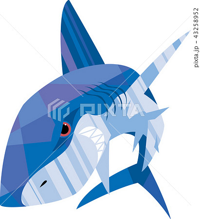凶暴な鮫のイラスト素材 43258952 Pixta