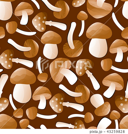 Vector seamless pattern with mushroom crop brown Vector seamless pattern with mushroom crop brown 43259828
