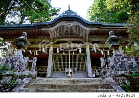 熊野三山・奥の宮 玉置神社 御本殿 (奈良県 吉野郡 十津川村 ) 熊野三山・奥の宮 玉置神社 御本殿 (奈良県 吉野郡 十津川村 ) 43259829