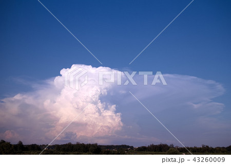 宇都宮市　かなとこ雲（積乱雲） 43260009