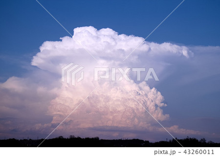 宇都宮市　かなとこ雲（積乱雲） 43260011