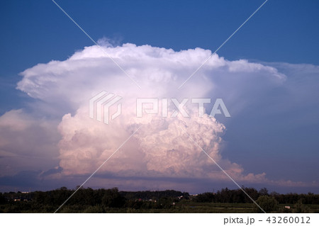 宇都宮市　かなとこ雲（積乱雲） 43260012