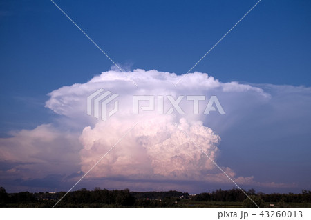 宇都宮市　かなとこ雲（積乱雲） 43260013