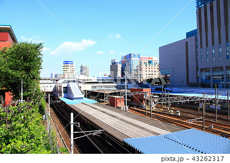 名古屋市 都市風景(金山総合駅) 名古屋市 都市風景(金山総合駅) 43262317